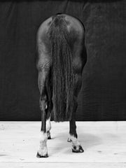 Brainpower Tail I, 2018